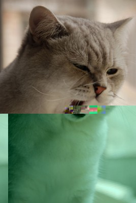 mmm.JPG
